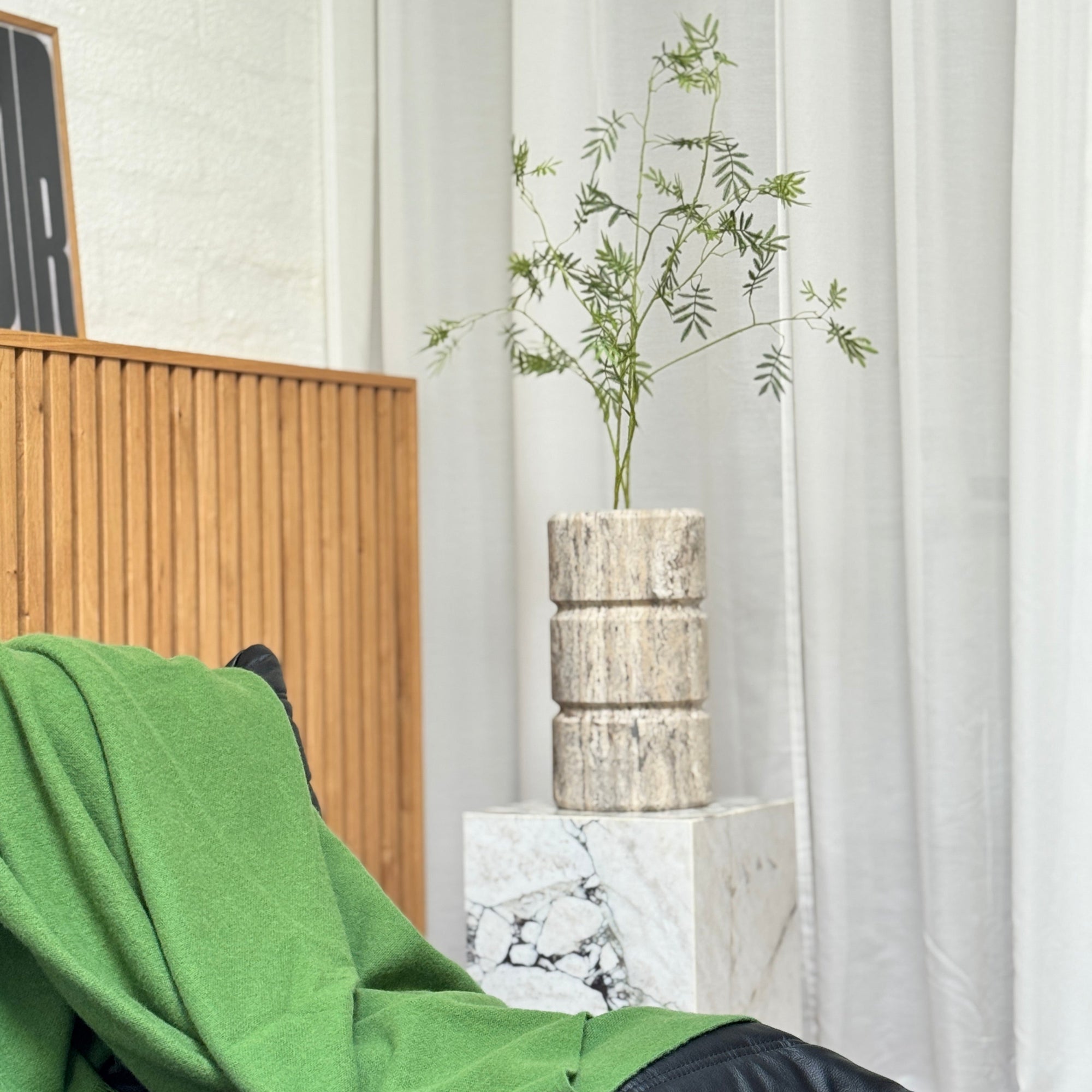 Green blanket on a black chair with a plant and wooden cabinet in the background.