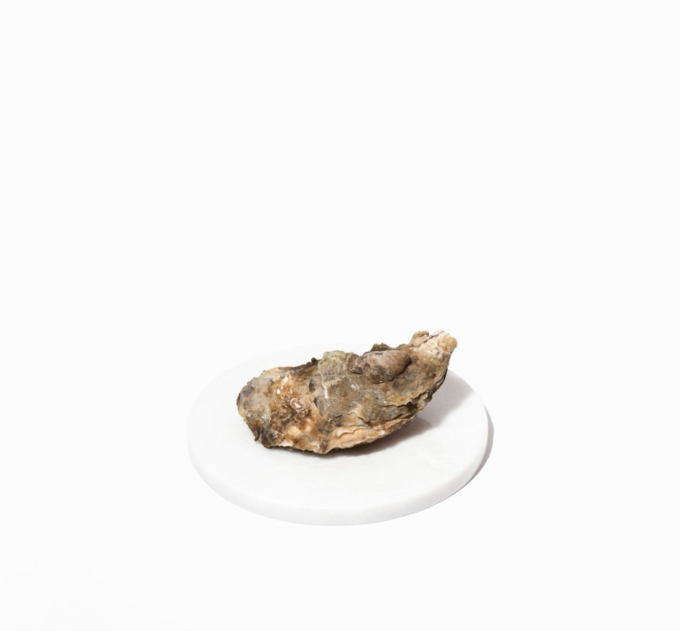White Marble Platter S